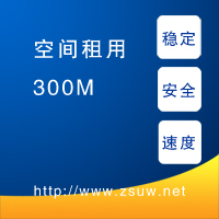 300M空间租用，安全稳定速度